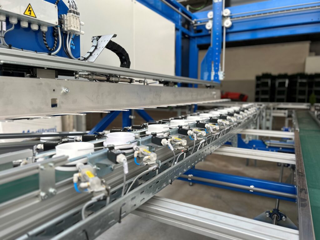 sorteerlijn coniferen_Kwekerij De Waele - Wilwoodii_Degramec