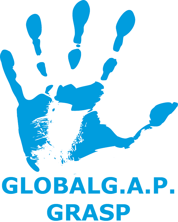 Grasp global logo
