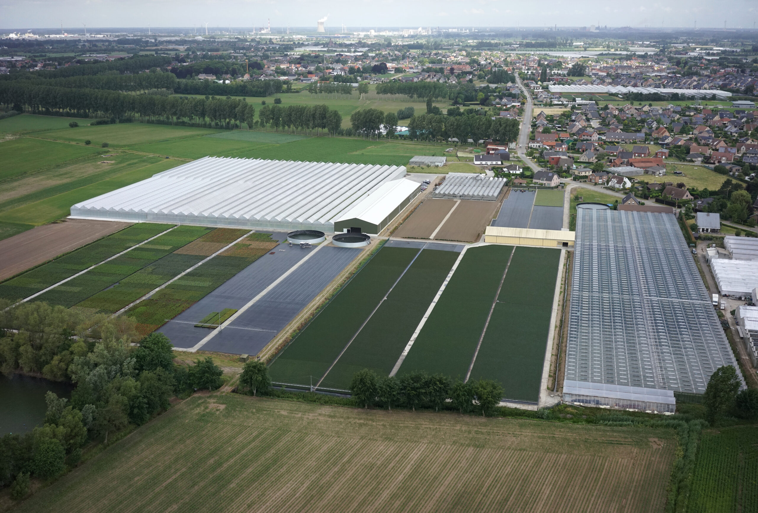 Kwekerij De Waele - Wilwoodii _ Lochristi luchtfoto
