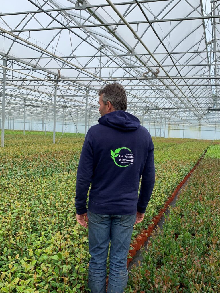 Lode serre_Kwekerij De Waele-Wilwoodii