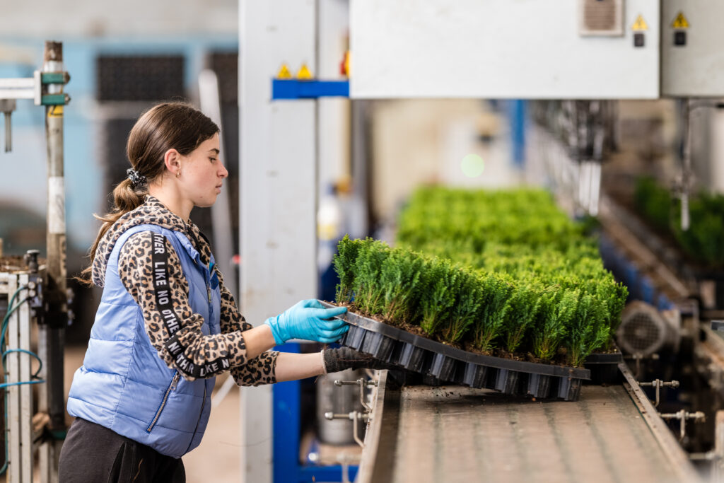 vacature jobstudent kwekerij de waele wilwoodii lochristi