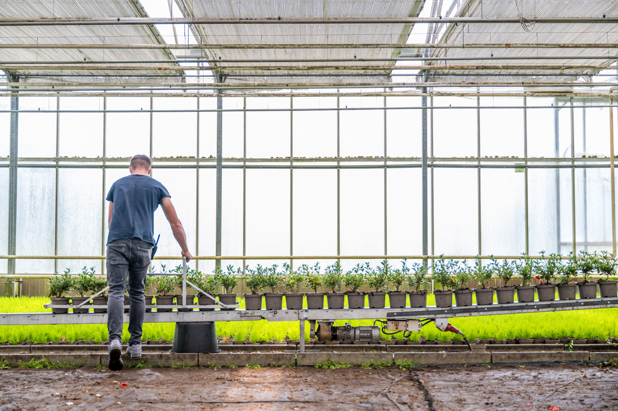 Assistent productieverantwoordelijke