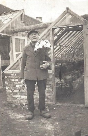 Livinus De Waele_Kwekerij De Waele - Wilwoodii