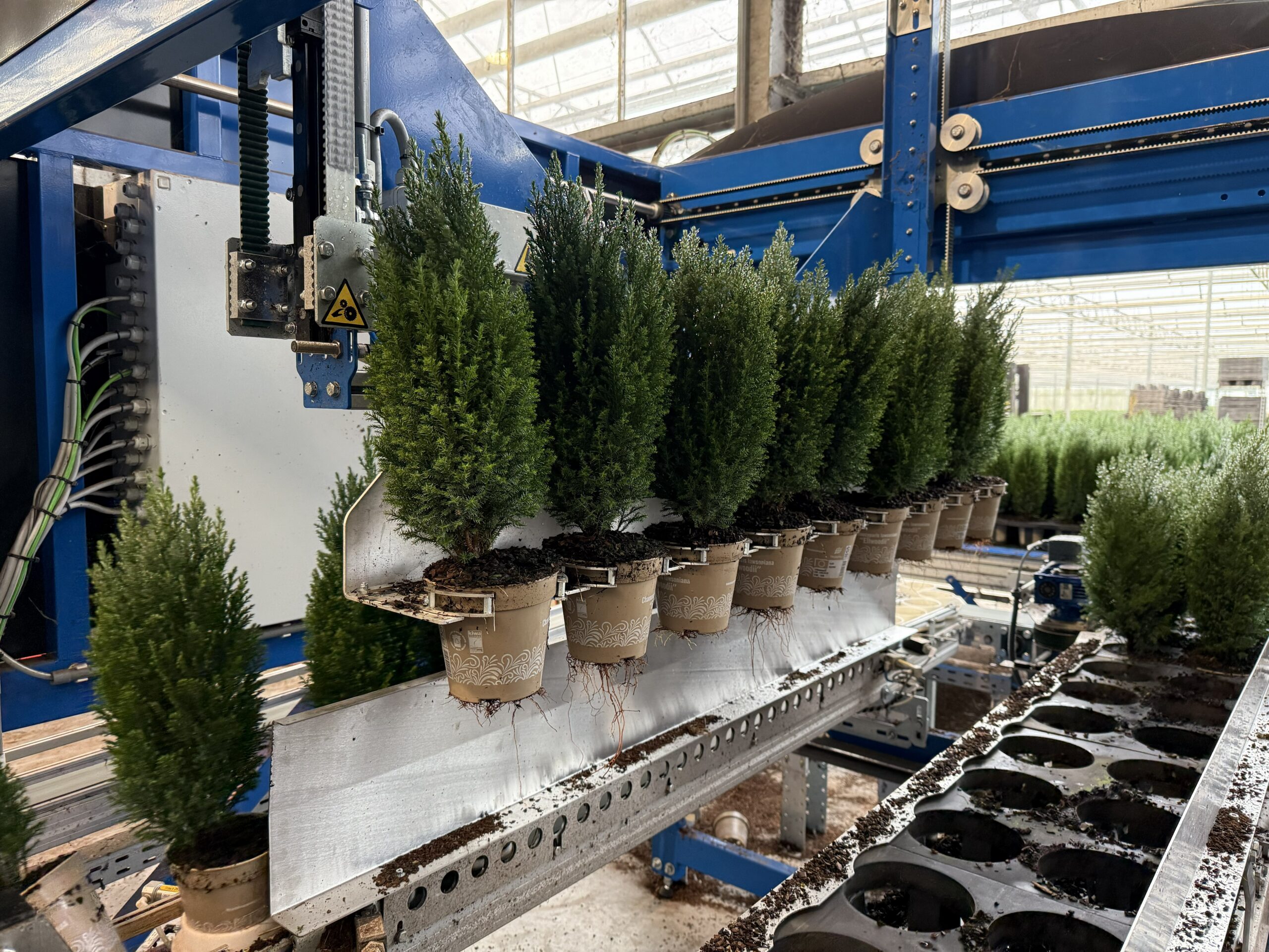 Technologie in de tuinbouw: dit is onze nieuwe sorteerlijn in actie