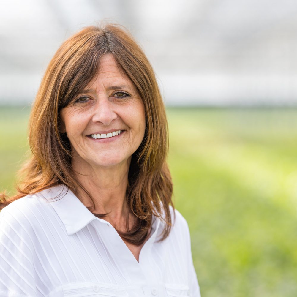 Gina kwekerij de waele wilwoodii