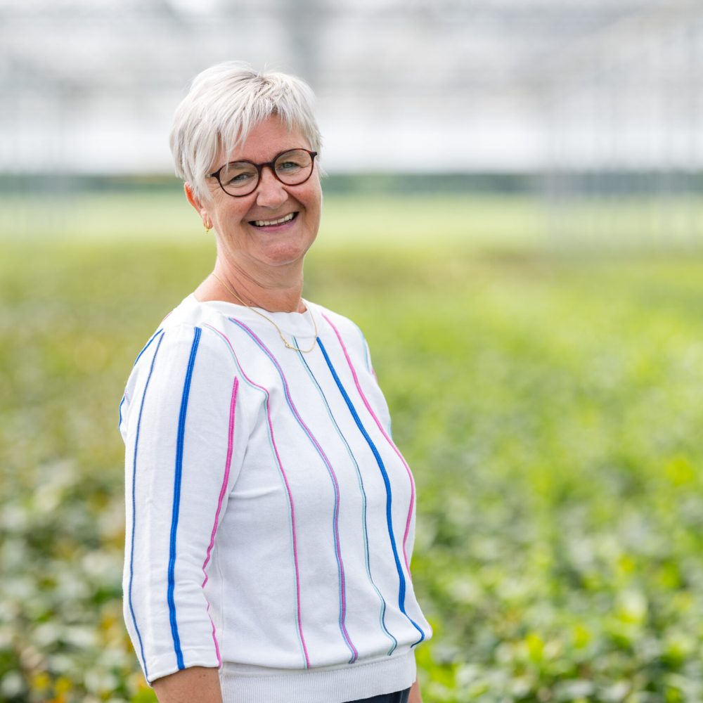 hilde kwekerij de waele wilwoodii